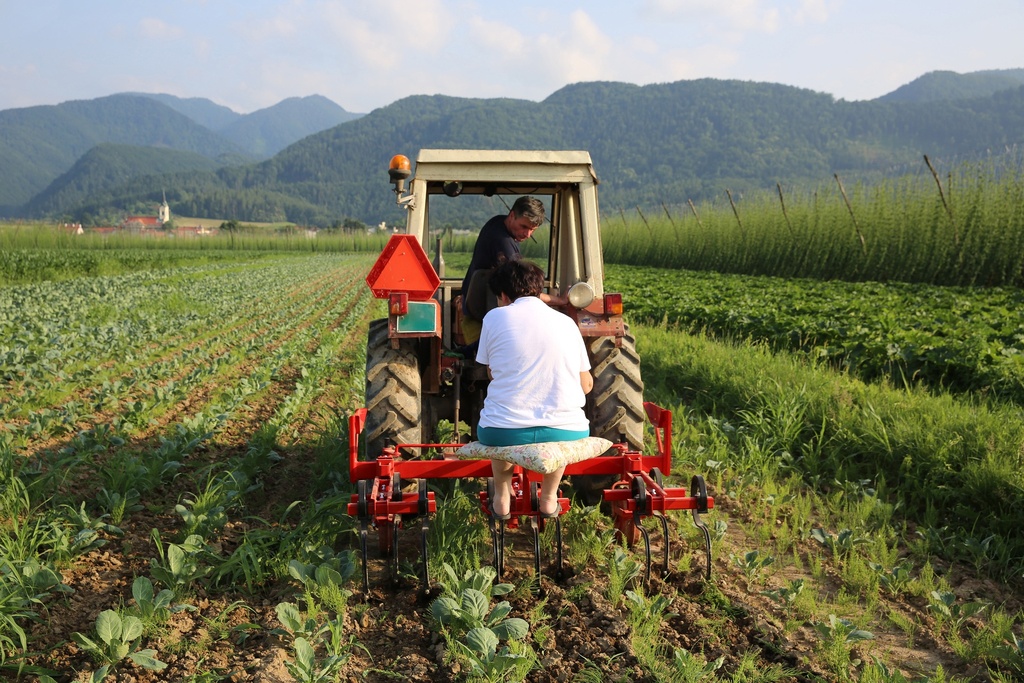 tehnos_interrow_cultivator_field_work