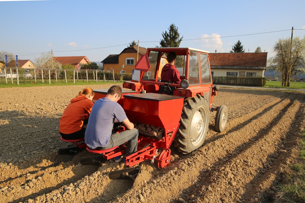 tehnos_halbautomatische_kartoffel_legemaschine _und _hackmaschine
