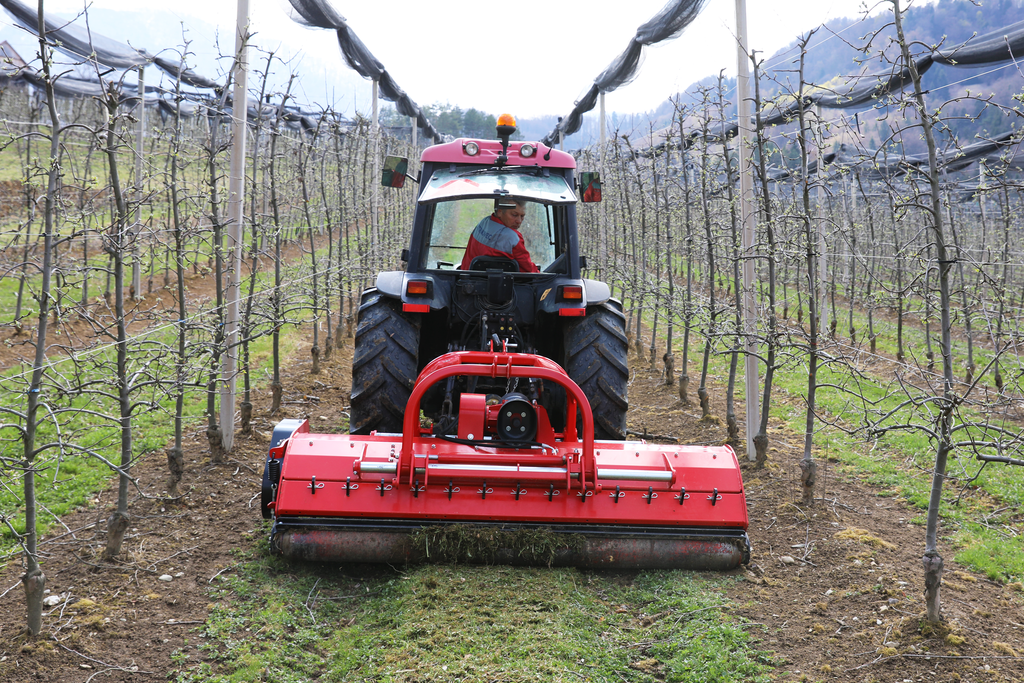 tehnos_flail_mower_for_orchards_and_vineyards_profi