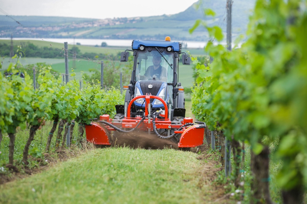 tehnos_bürste_p20_weinbau_