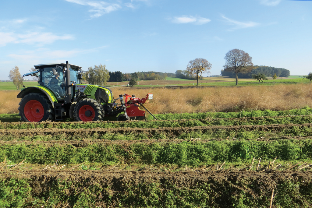 tehnos_asparagus_flail_mower_profi_mps